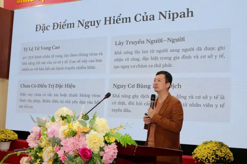 Hà Nội chủ động phương án ứng phó với virus Nipah