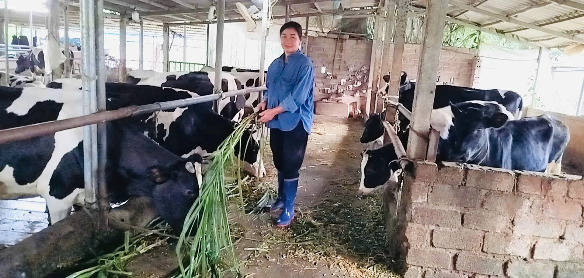 Hình ảnh 4