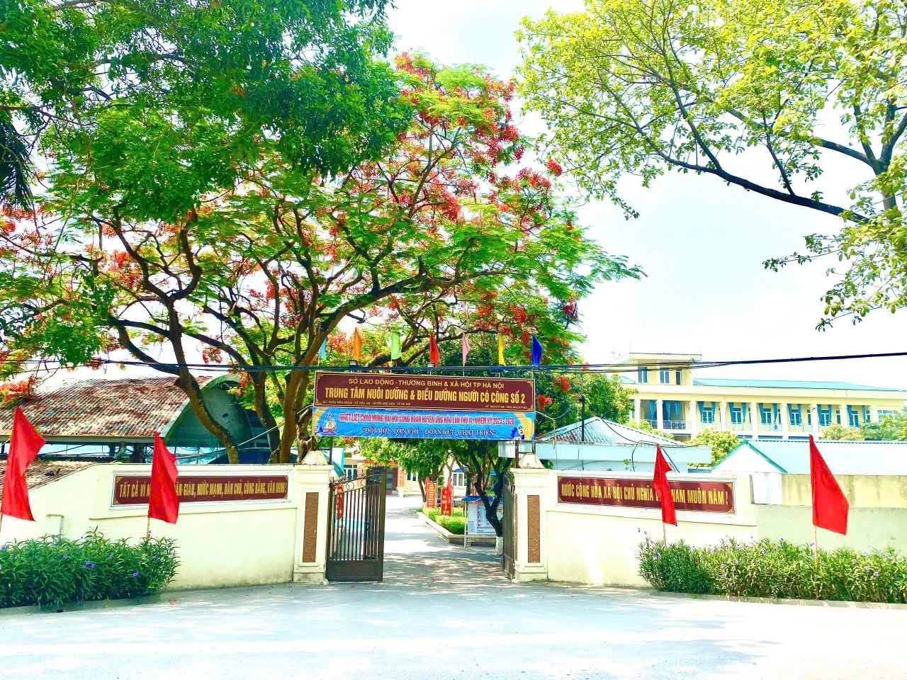 Hình ảnh 1