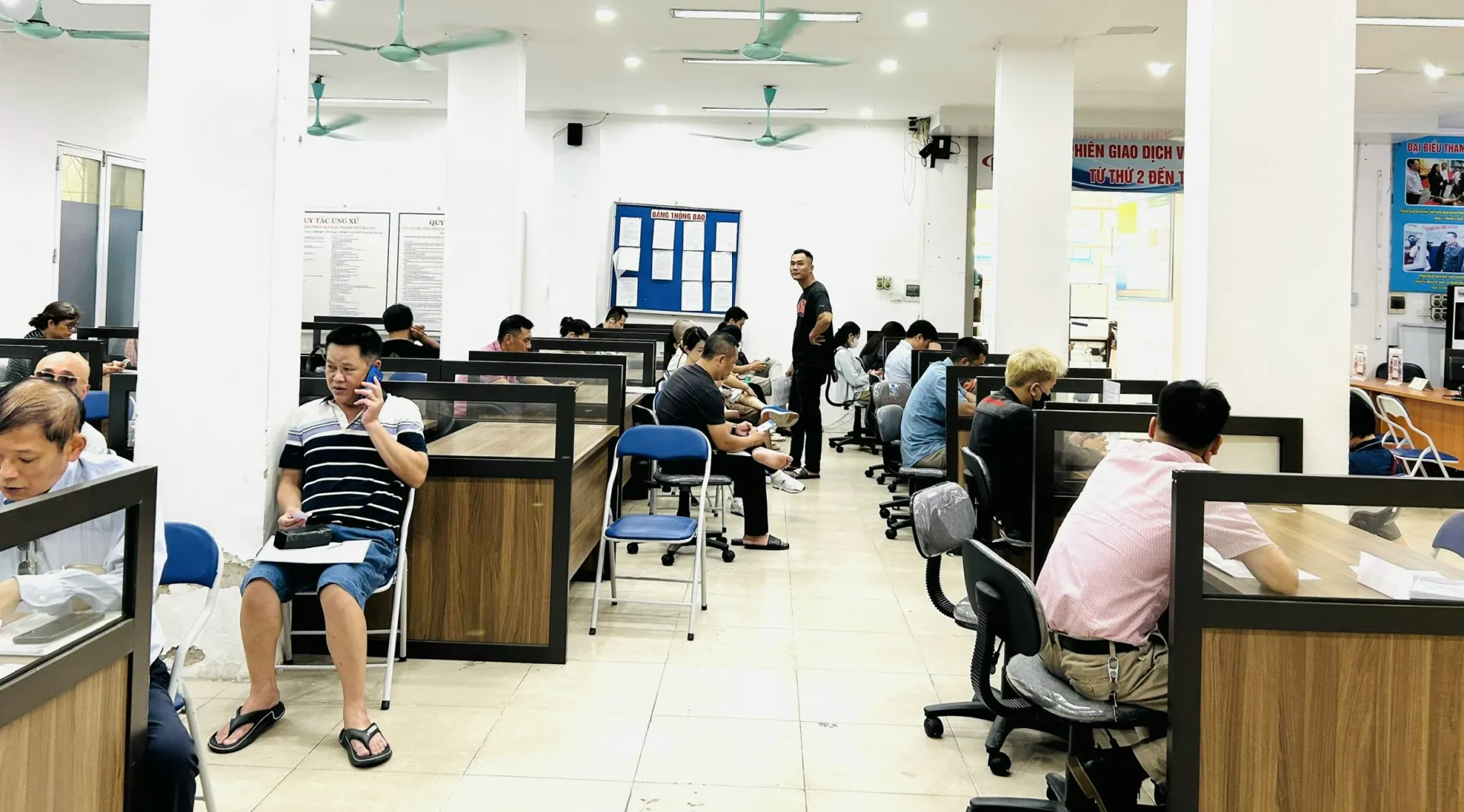 Hình ảnh 3