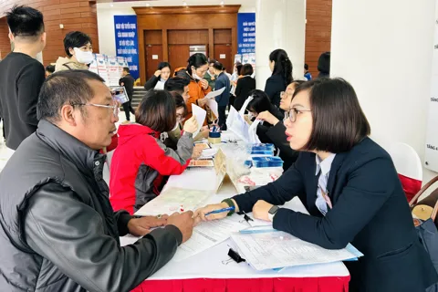 Hà Nội giải quyết việc làm cho trên 195.500 người lao động