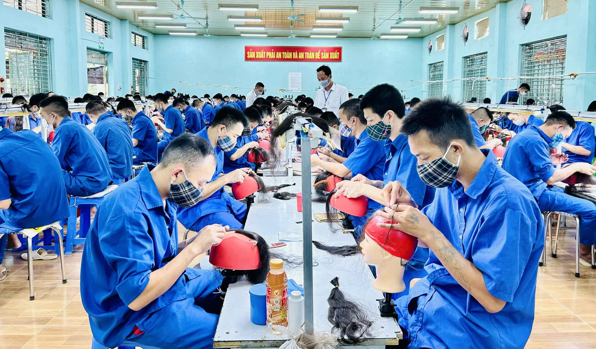 Hình ảnh 1