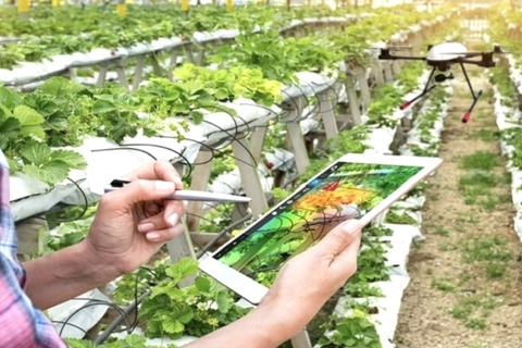 Bộ Nội vụ cảnh báo thông tin tuyển chọn người lao động đi làm việc tại Israel