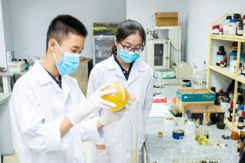 Bộ Nội vụ đề xuất nhiều chính sách đãi ngộ đặc biệt thu hút chuyên gia