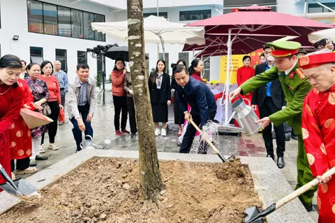 Phường Hoàng Mai trồng cây xanh vì một đô thị bền vững và đáng sống