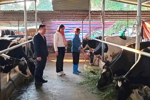 Chương trình 08-CTr/TU: Bứt phá an sinh, nâng tầm cuộc sống người dân Thủ đô