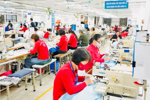 Kỹ năng số và kỹ năng xanh: chìa khóa cho người lao động
