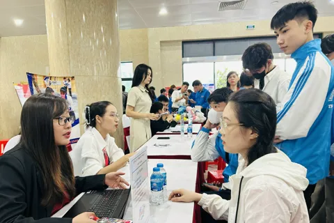 Việc làm cuối năm: lương cao, đa dạng ngành nghề