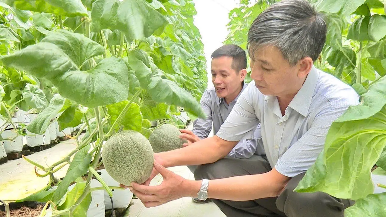 Hình ảnh 1