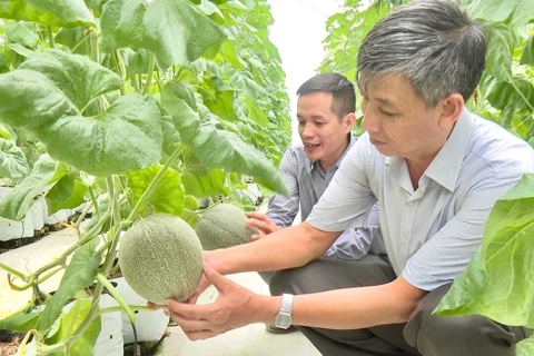 Hà Nội phấn đấu thu hút 20.000 lao động nông thôn tham gia học nghề