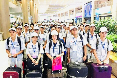 3 thị trường được nhiều người Việt Nam lựa chọn đi xuất khẩu lao động