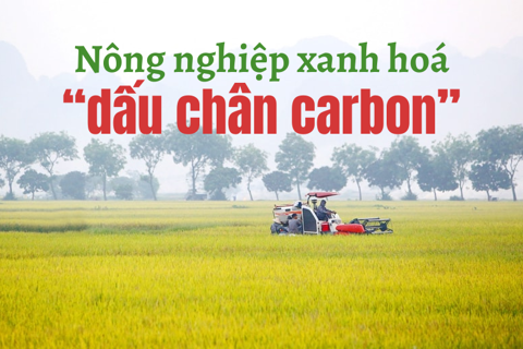 Nông nghiệp xanh hoá “dấu chân carbon”