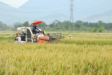 Trồng trọt giảm phát thải: con đường đưa nông sản Việt hội nhập toàn cầu