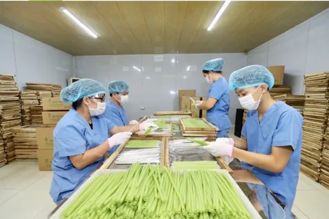 Tìm giải pháp nâng cao hiệu quả hoạt động của các hợp tác xã