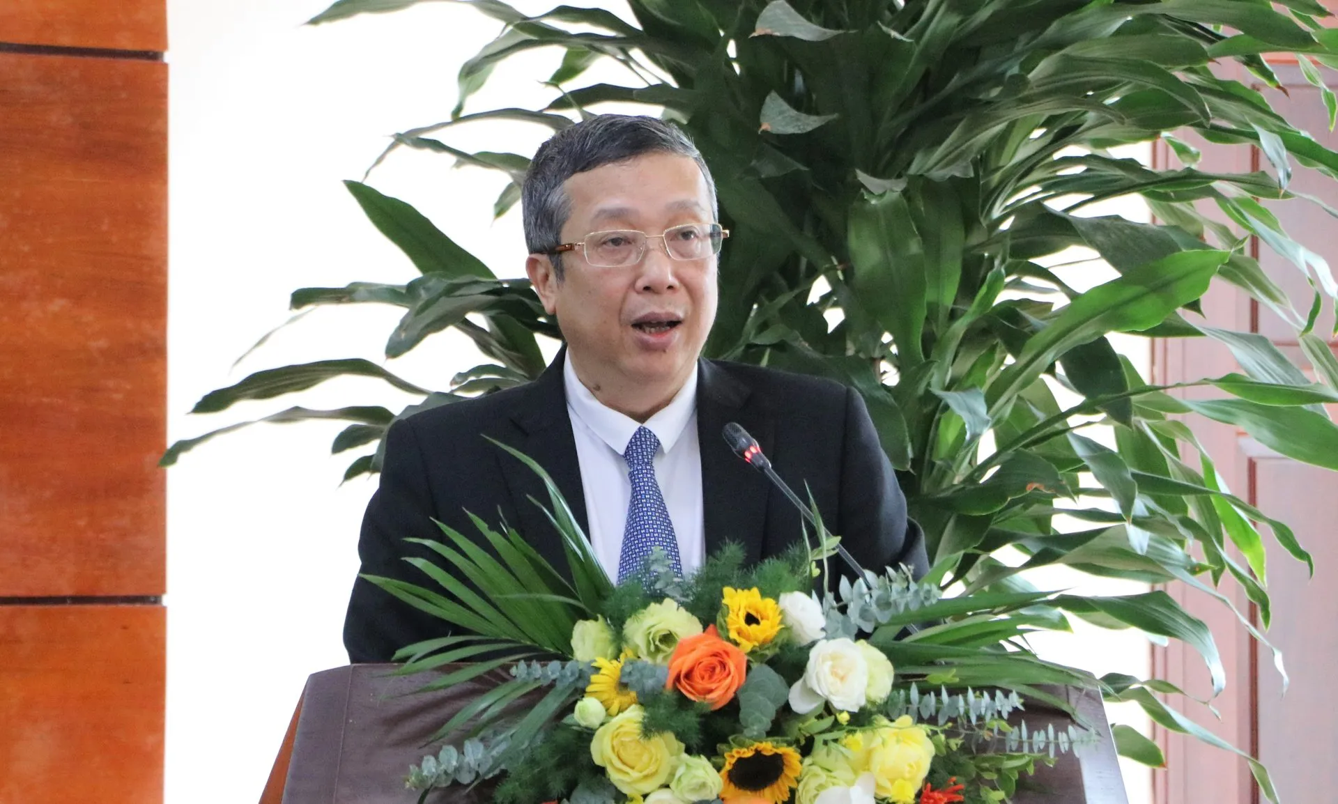 Hình ảnh 2