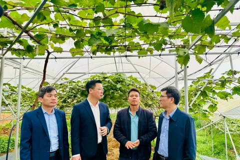 Tăng tốc giải ngân vốn đầu tư phát triển vùng dân tộc xã Yên Xuân