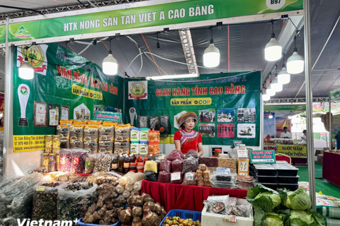 Hàng ngàn đặc sản 3 miền quy tụ tại Hội chợ AgroViet 2025 tổ chức tại Hà Nội