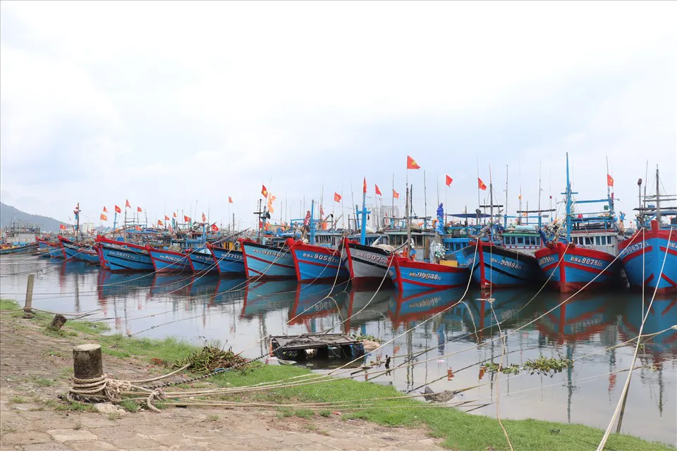 Hình ảnh 1