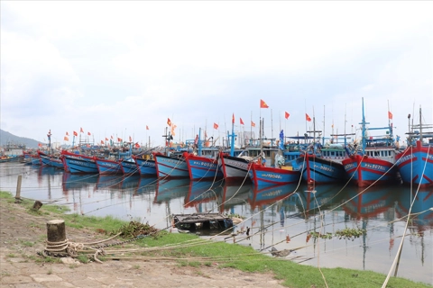 Cảnh báo áp thấp đổ bộ biển Đông