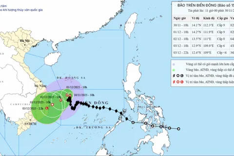 Bão số 15 tiến gần Gia Lai - Khánh Hoà, sóng cao đến 5,0m, biển động rất mạnh