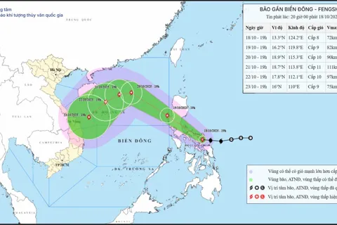 Bão Fengshen hướng vào miền Trung, sóng biển cao 5m, biển động rất mạnh
