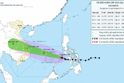Chuẩn bị ứng phó bão số 13