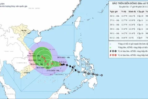 Nhận định mới nhất về hướng di chuyển và cường độ của bão số 15