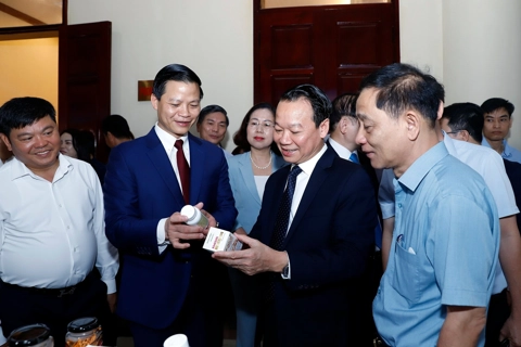 Đưa khoa học - công nghệ trở thành nền tảng phát triển nông nghiệp xanh
