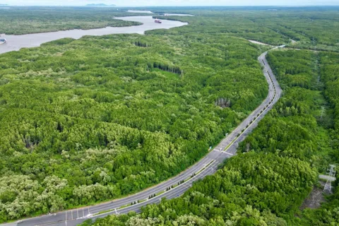 Thị trường các-bon rừng tại Việt Nam: từ khung pháp lý đến giải pháp thực thi