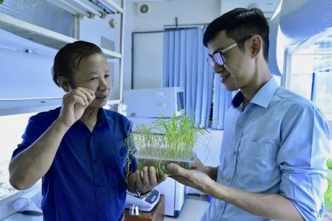 “Cởi trói” cho chỉnh sửa gen, hướng đến phát triển nông nghiệp hiện đại