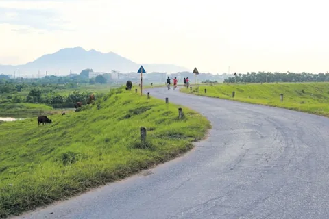 Hà Nội: nâng cấp tổng thể hệ thống đê điều bảo đảm đa mục tiêu