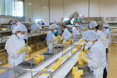 Khai mở tiềm năng phát triển nông sản vùng Bắc Trung Bộ