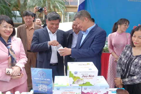 Hà Nội liên kết với 26 tỉnh, thành cung ứng nông sản an toàn cho hàng chục triệu người dân
