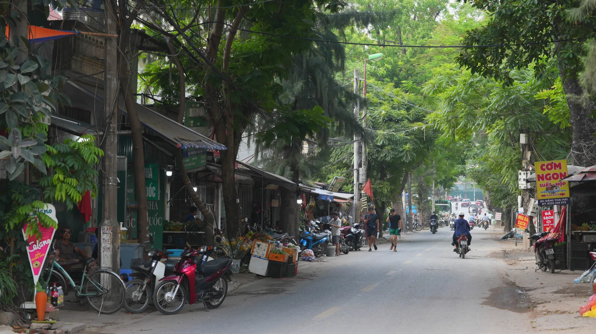 Hình ảnh 1