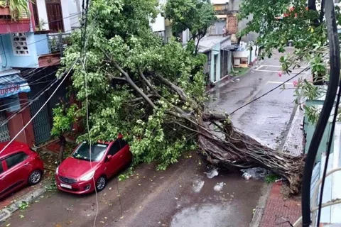 Bão số 13 gây thiệt hại hơn 7.000 tỷ đồng