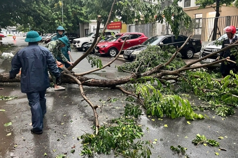 Bão số 3 tiến gần đất liền, người dân nên làm gì để ứng phó?