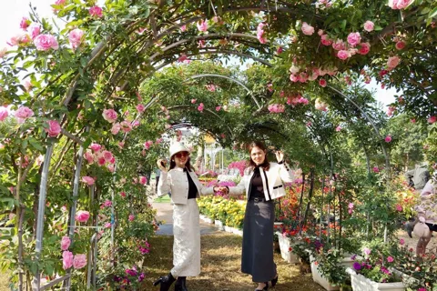 Hà Nội: tái hiện không gian Tết Việt tại Lễ hội Hoa cây cảnh, sản phẩm OCOP và đặc sản vùng miền năm 2026