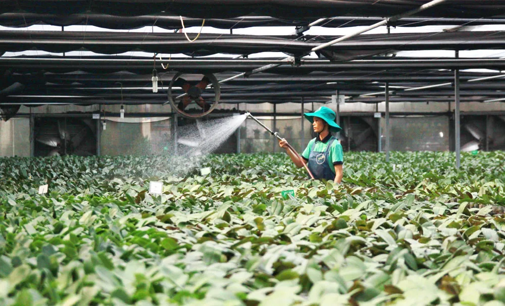 Tái cơ cấu nông nghiệp Hà Nội: kỳ vọng đột phá từ khoa học - công nghệ