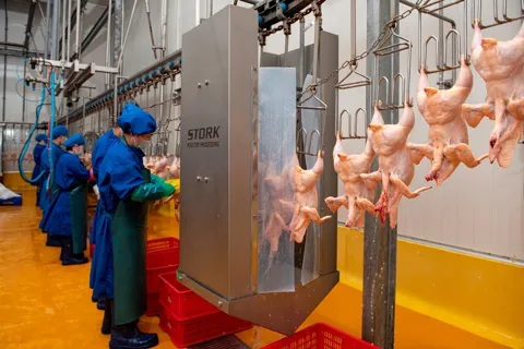 Hà Nội tổng kiểm tra các cơ sở giết mổ tại 126 xã, phường