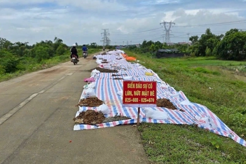 Hà Nội: sớm khắc phục triệt để sự cố lún, sụt đê hữu Cầu