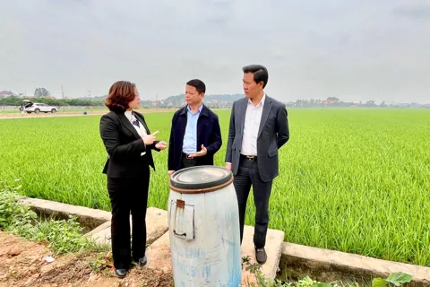 Hà Nội: giải bài toán môi trường trong sản xuất nông nghiệp