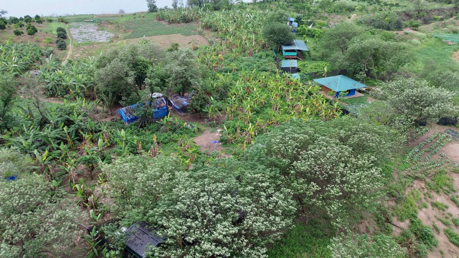 Hình ảnh 1