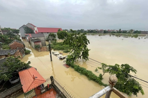 Huyện Sóc Sơn: mực nước sông Cầu, sông Cà Lồ lên cao gây ngập úng hàng chục héc-ta cây trồng