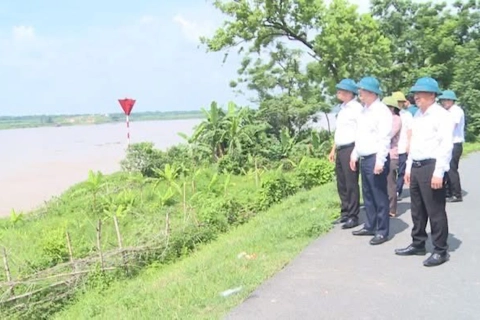 Xã Phúc Lộc: bảo đảm an toàn hai tuyến đê trọng yếu của TP Hà Nội