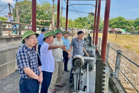 Hà Nội: bảo đảm an toàn các trọng điểm đê điều xung yếu