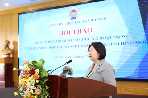 Sớm hoàn thiện mô hình hoạt động của hệ thống liên minh hợp tác xã