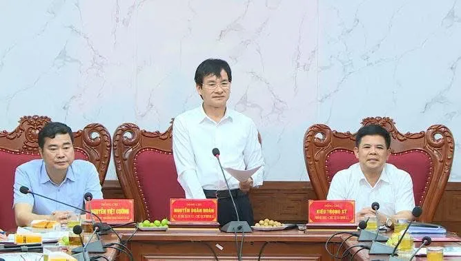 Hình ảnh 2