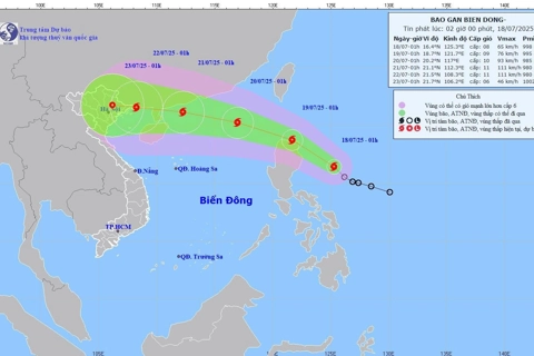 Ứng phó khẩn cấp với bão Wipha
