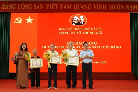 Xã Trung Giã trao Huy hiệu Đảng cho 45 đảng viên nhân dịp Quốc khánh 2/9