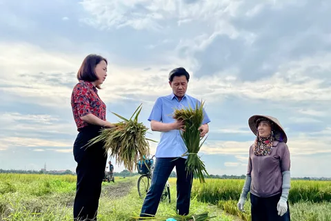 Giám đốc Sở Nông nghiệp và Môi trường Hà Nội động viên bà con thu hoạch lúa Mùa
